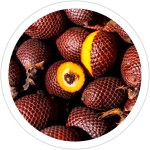 buriti-oil