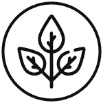 imgi_18_non-toxic-1-1